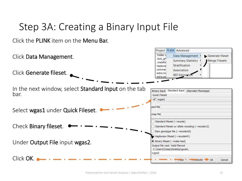 step 3a creating a binary input file