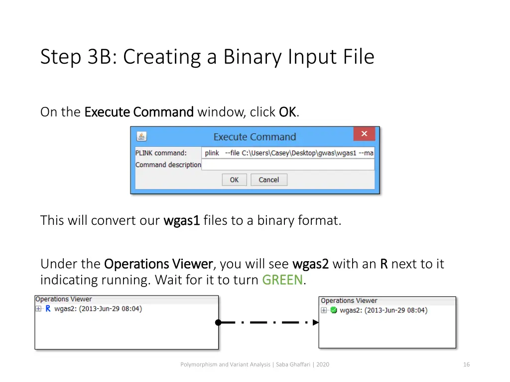 step 3b creating a binary input file