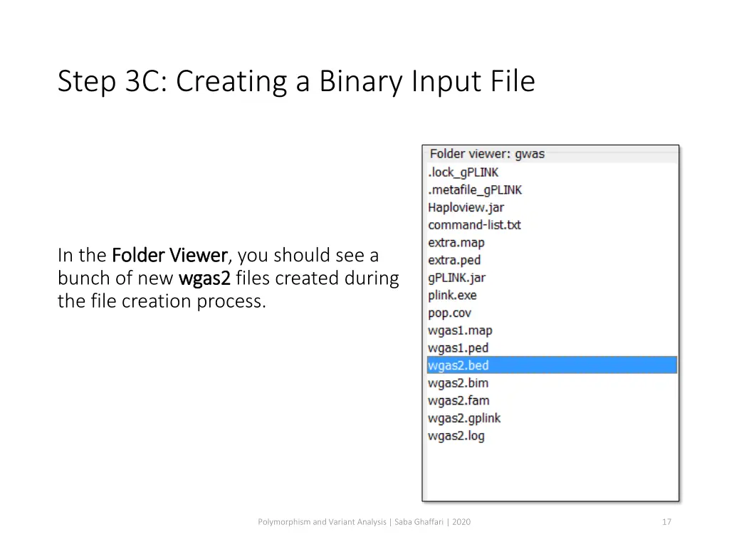 step 3c creating a binary input file