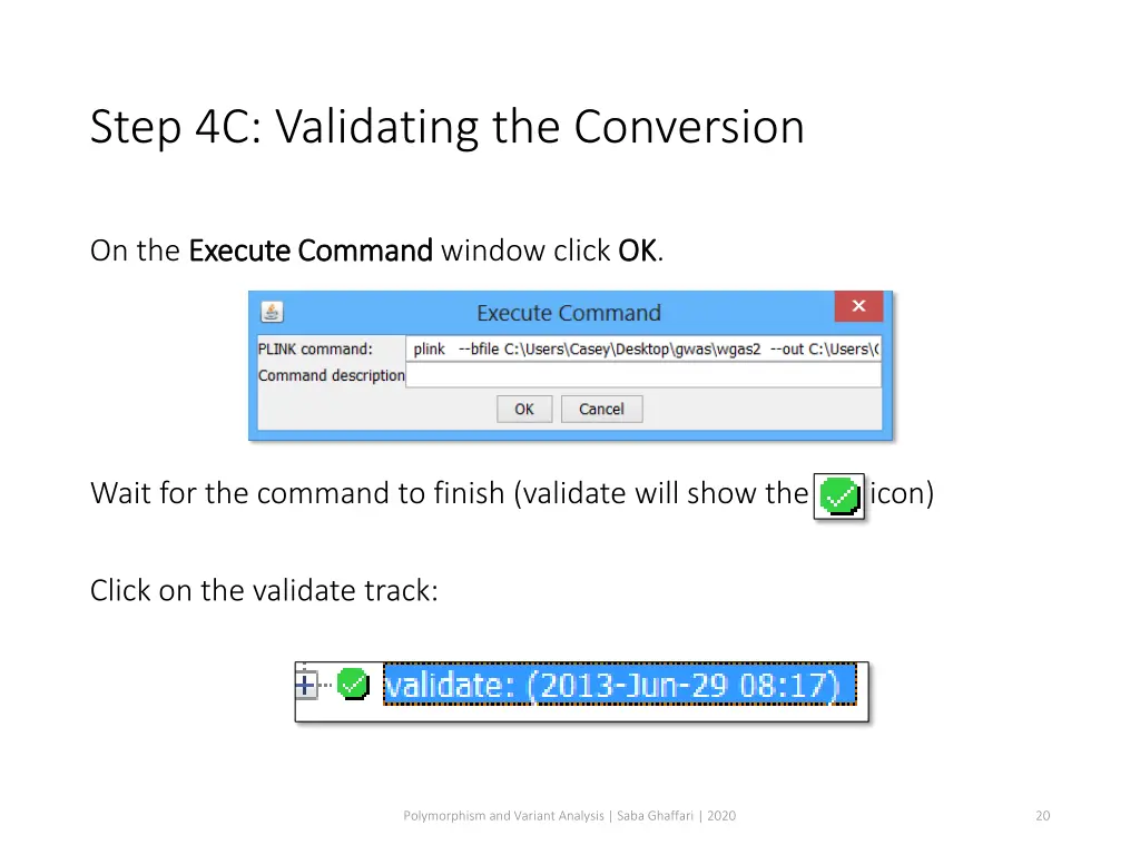 step 4c validating the conversion