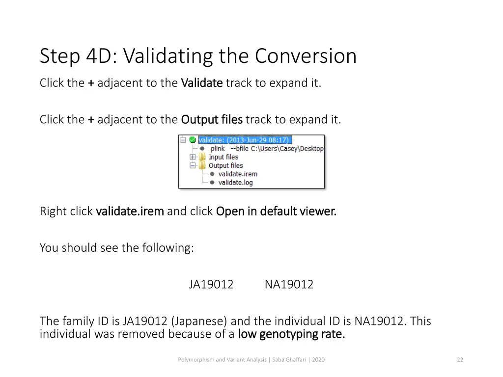 step 4d validating the conversion