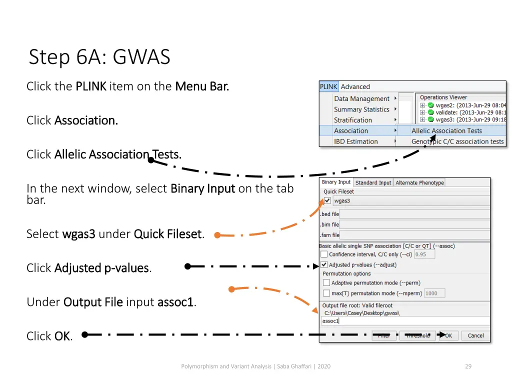 step 6a gwas