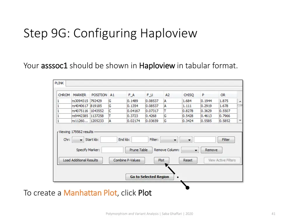 step 9g configuring haploview