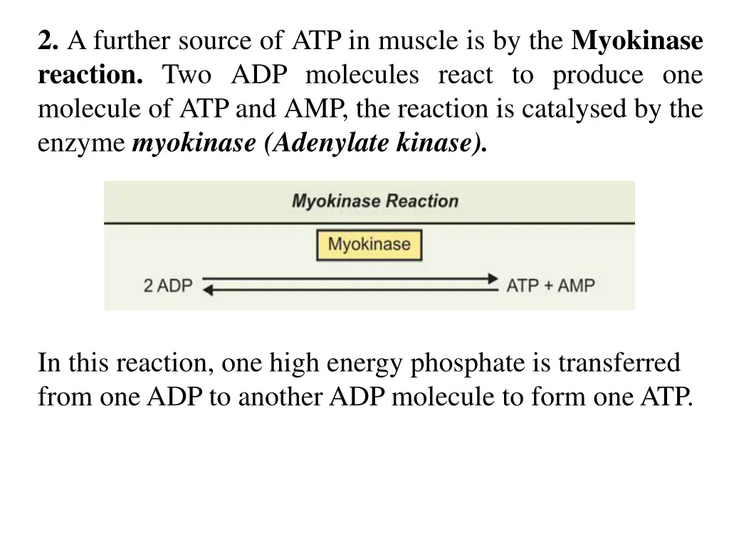 2 a further source of atp in muscle