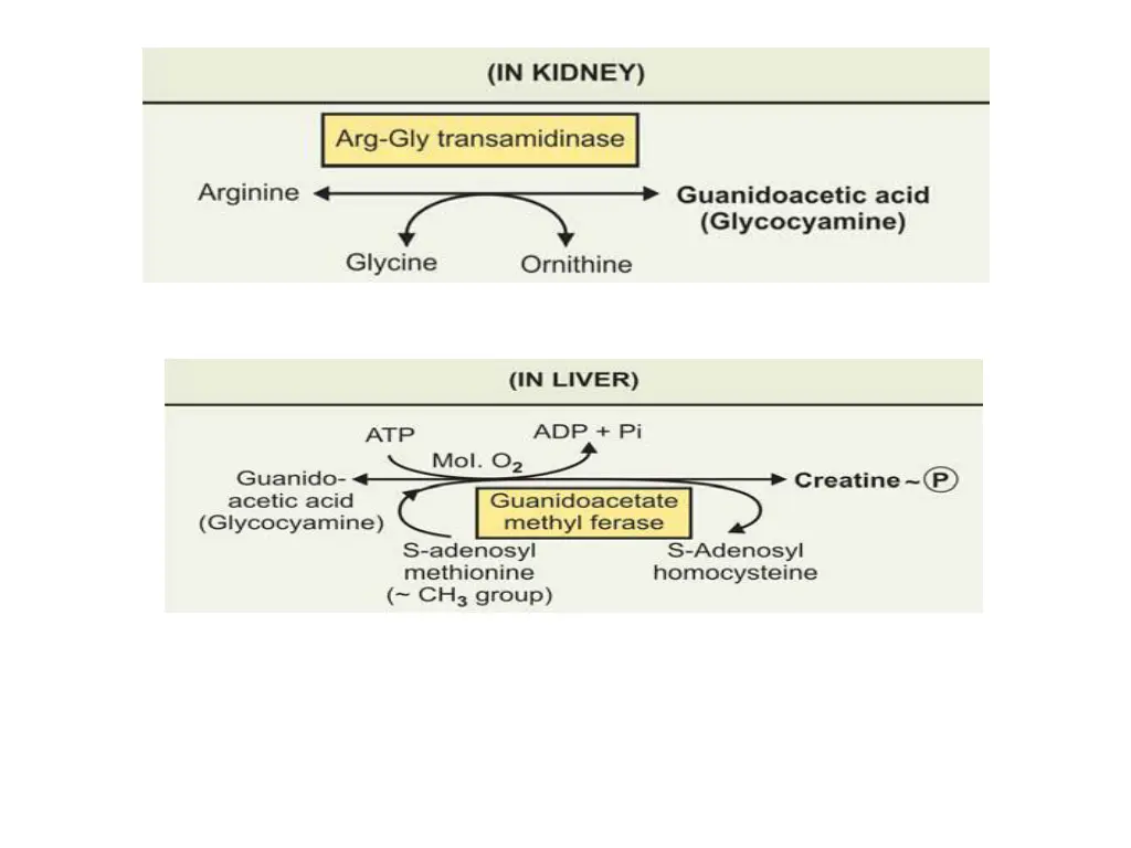 slide14