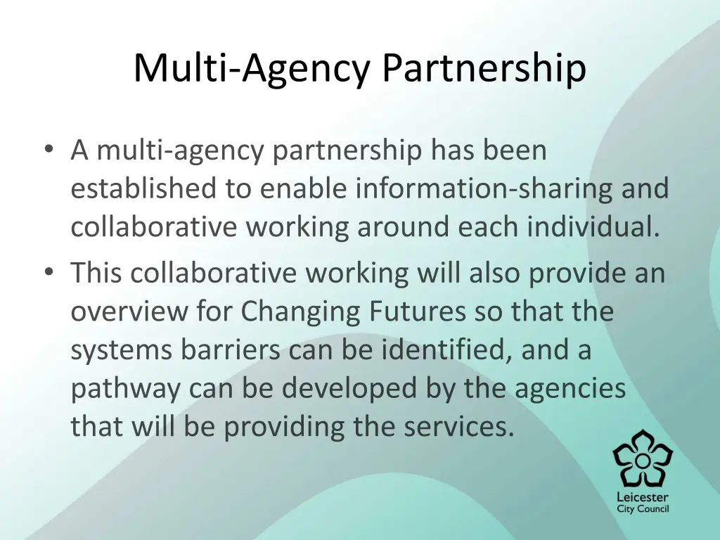 multi agency partnership