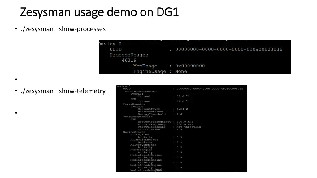 zesysman zesysman usage demo on dg1 usage demo