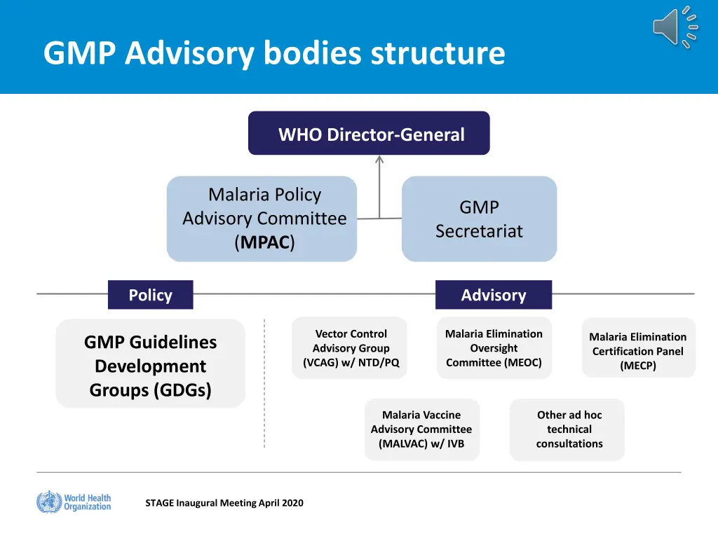 gmp advisory bodies structure