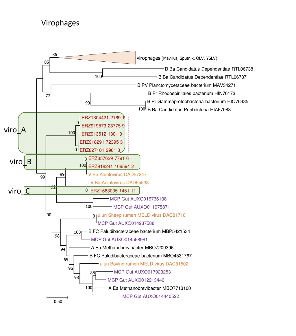 virophages