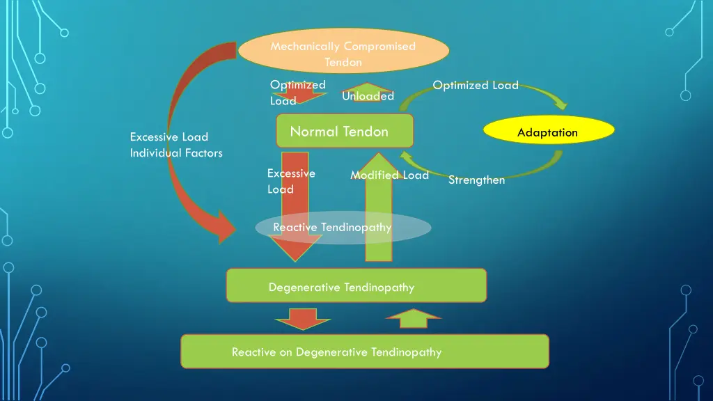 mechanically compromised tendon