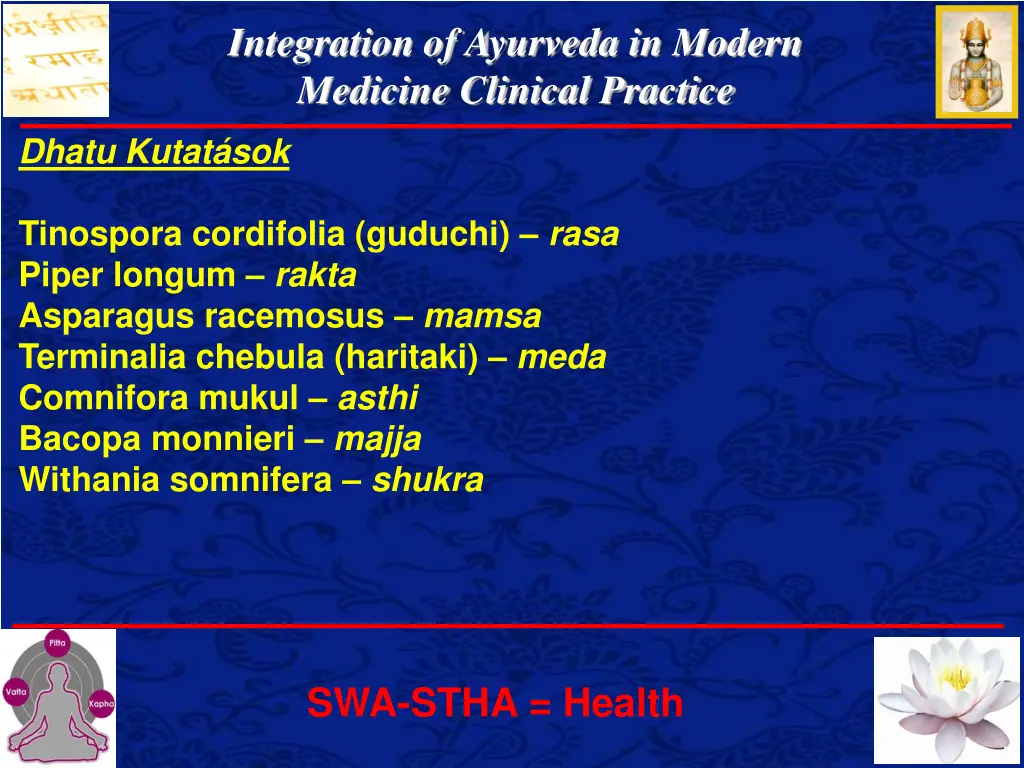 integration of ayurveda in modern medicine 11