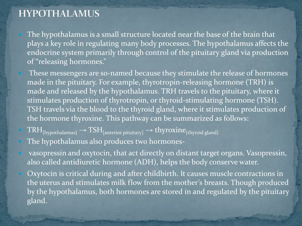 hypothalamus