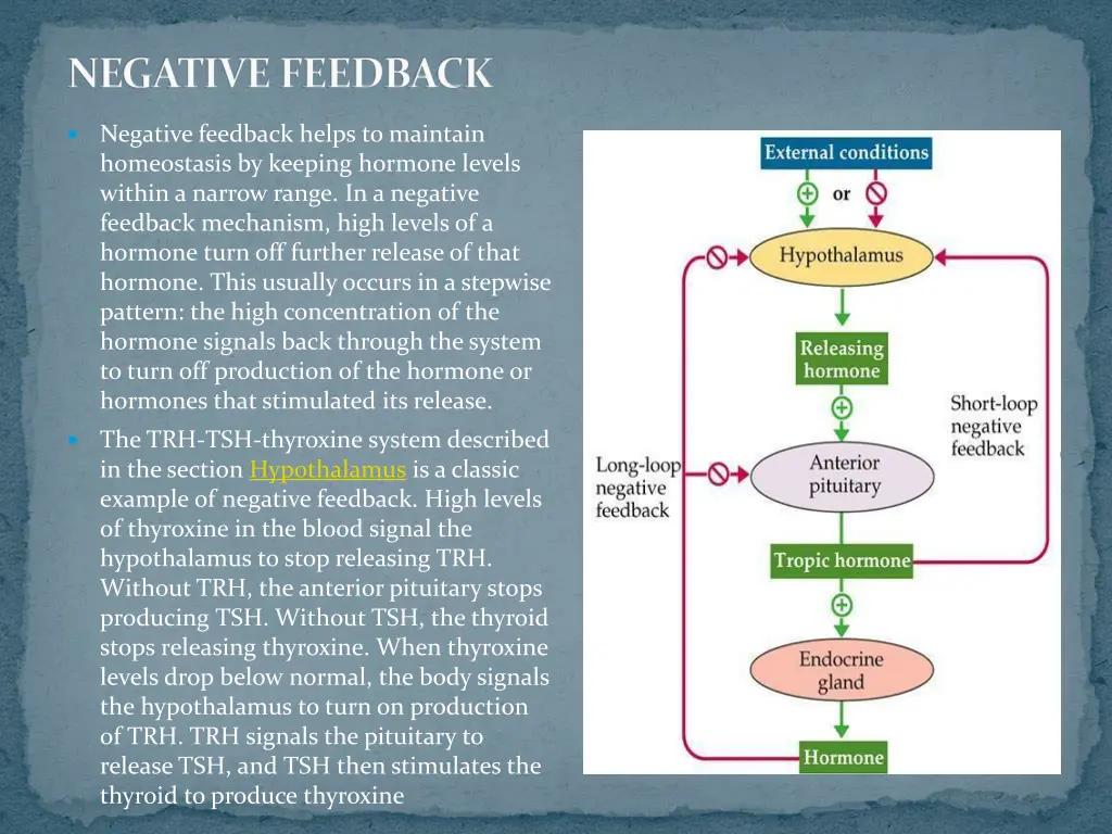 negative feedback