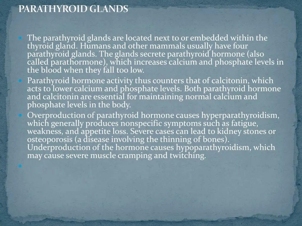 parathyroid glands