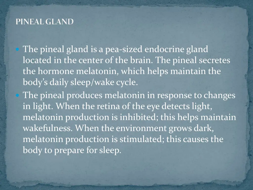 pineal gland