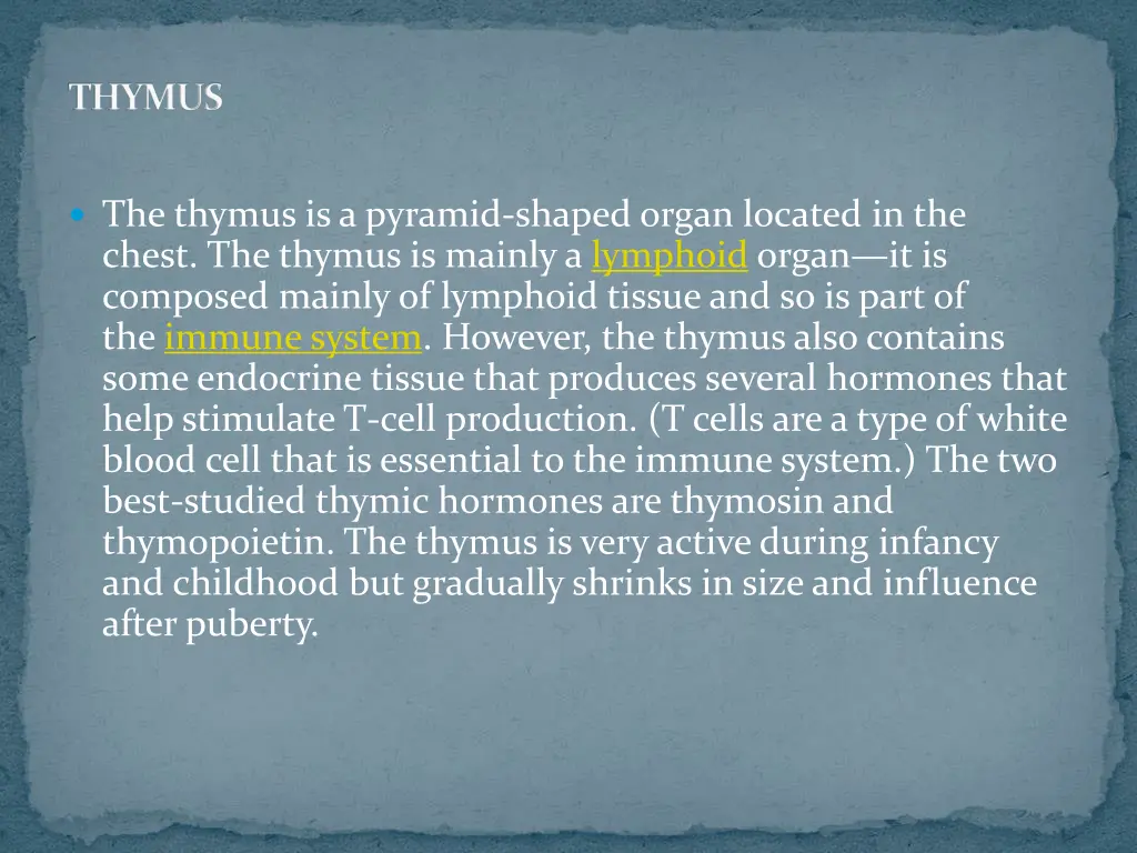 thymus