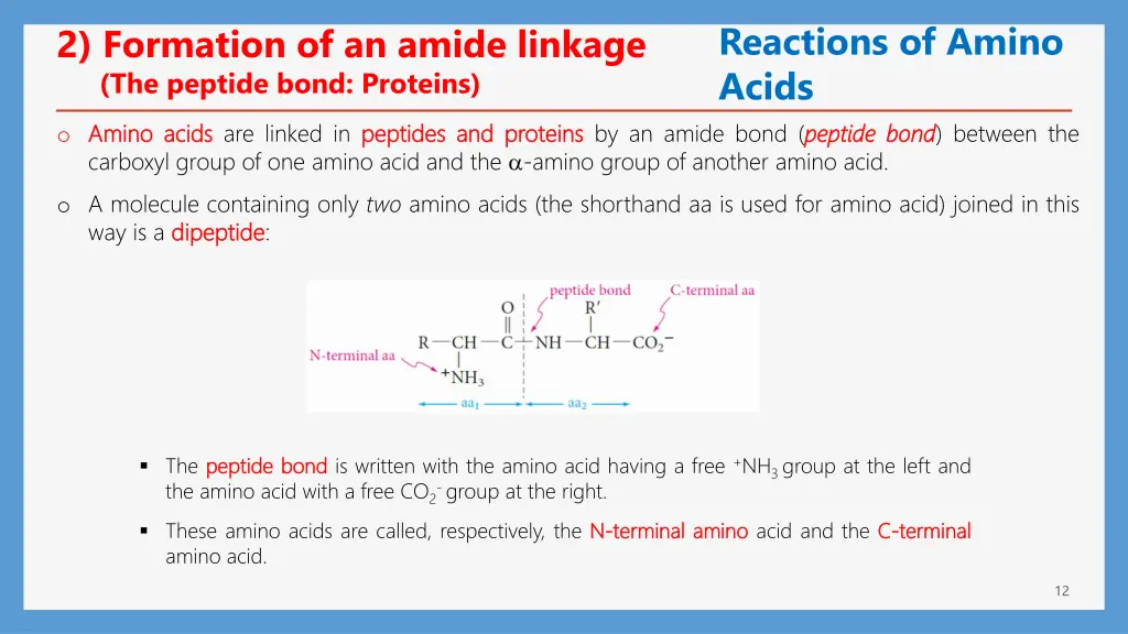 reactions of amino acids peptide bond bond