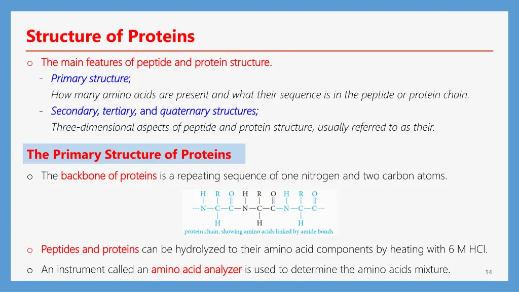 structure of proteins