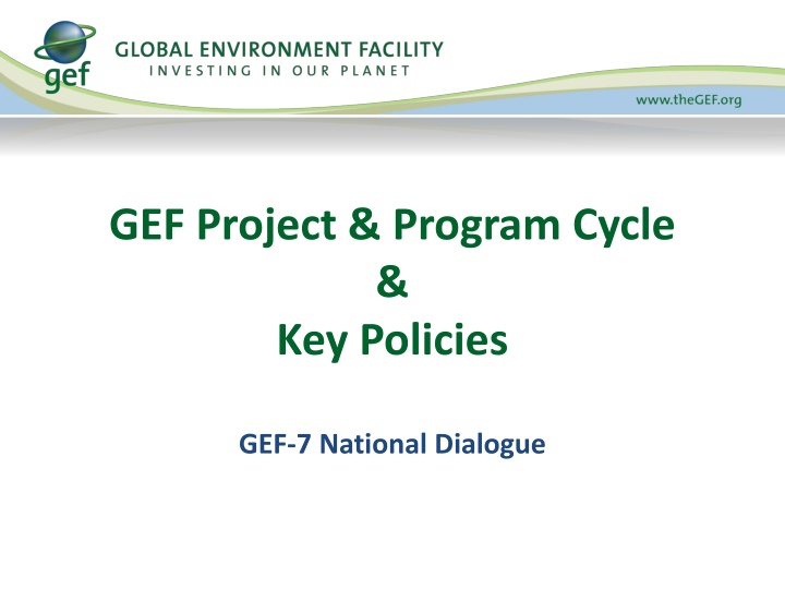 gef project program cycle key policies