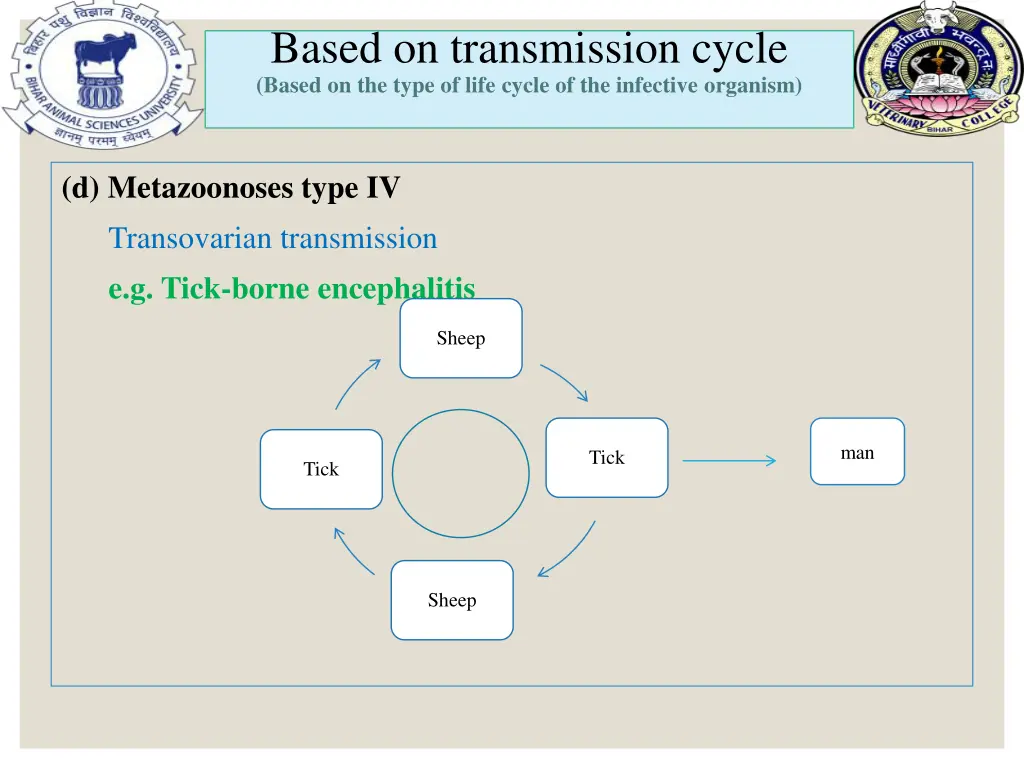 based on transmission cycle based on the type 5