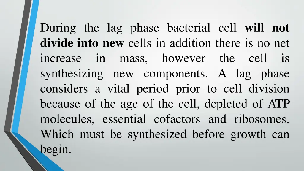 during the lag phase bacterial cell will