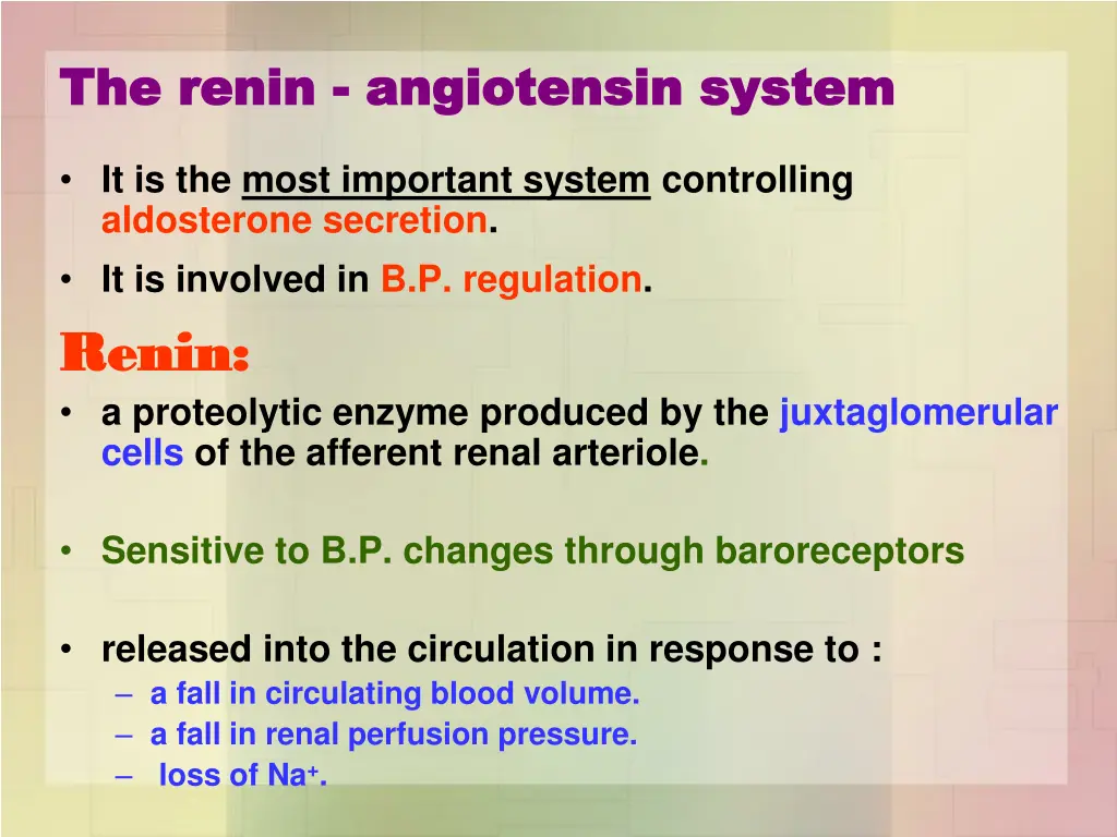 the the renin renin angiotensin angiotensin system