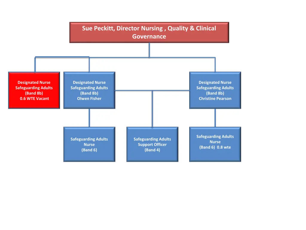 sue peckitt director nursing quality clinical 1