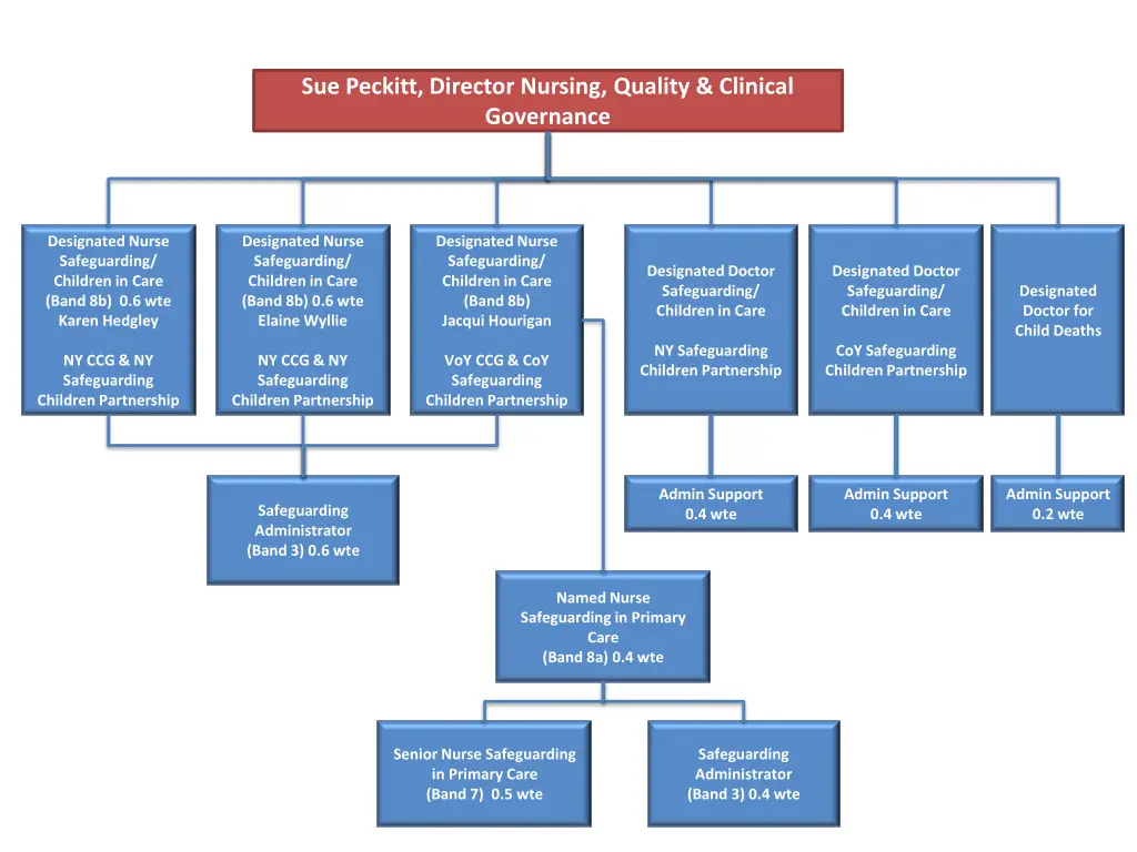 sue peckitt director nursing quality clinical 2