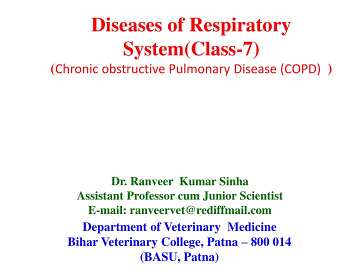 diseases of respiratory system class 7 chronic