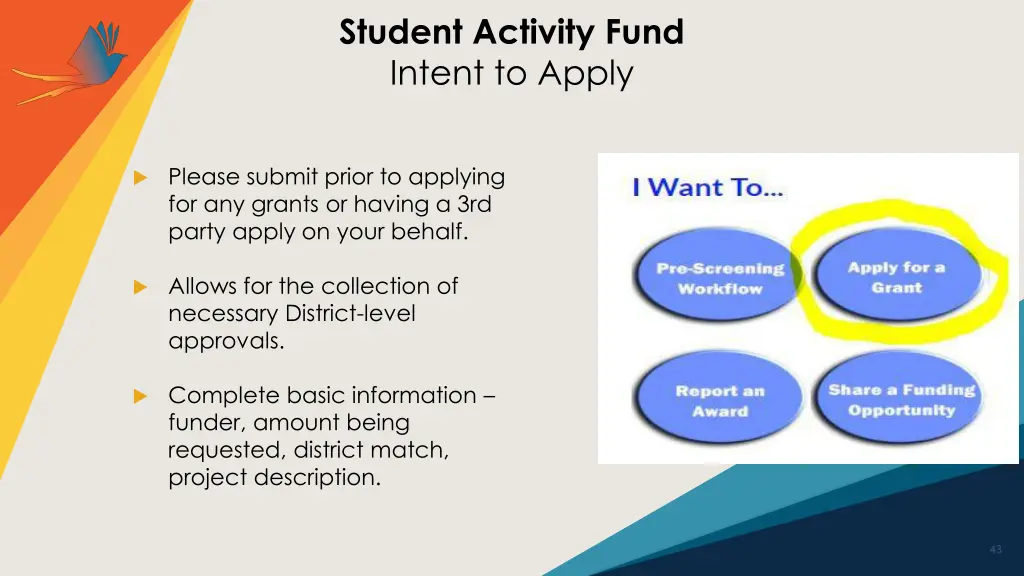 student activity fund intent to apply