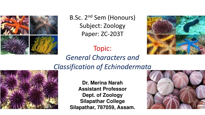 b sc 2 nd sem honours subject zoology paper