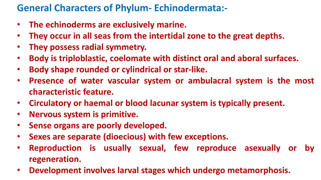 general characters of phylum echinodermata