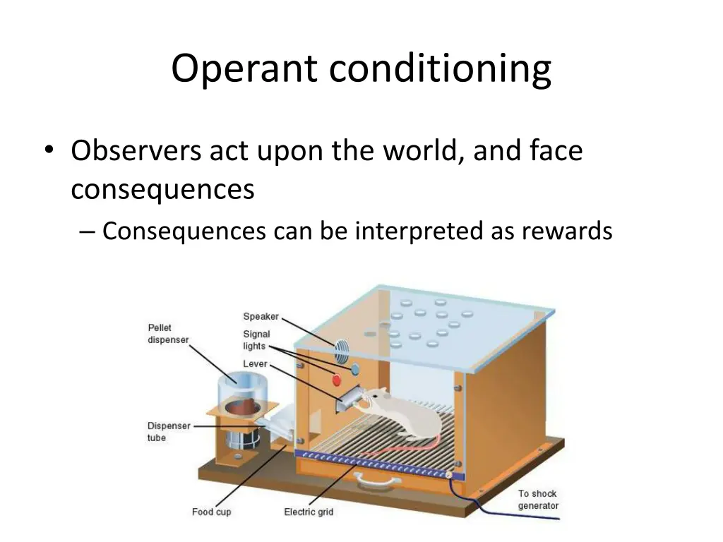 operant conditioning