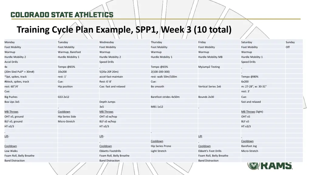 training cycle plan example spp1 week 3 10 total