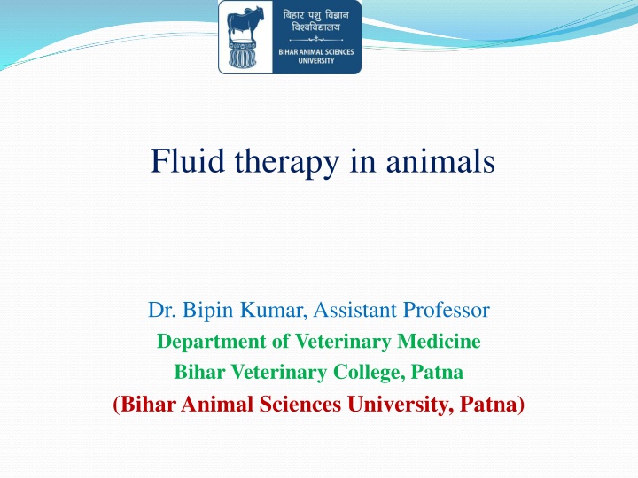 fluid therapy in animals