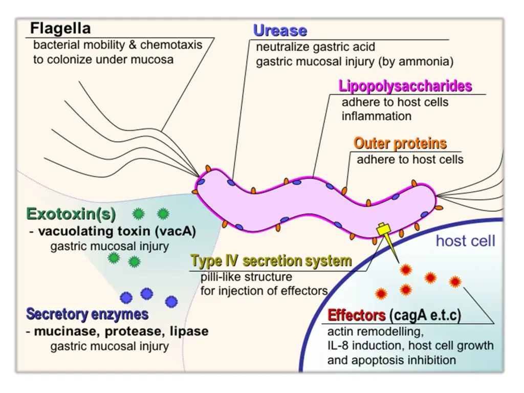 slide3