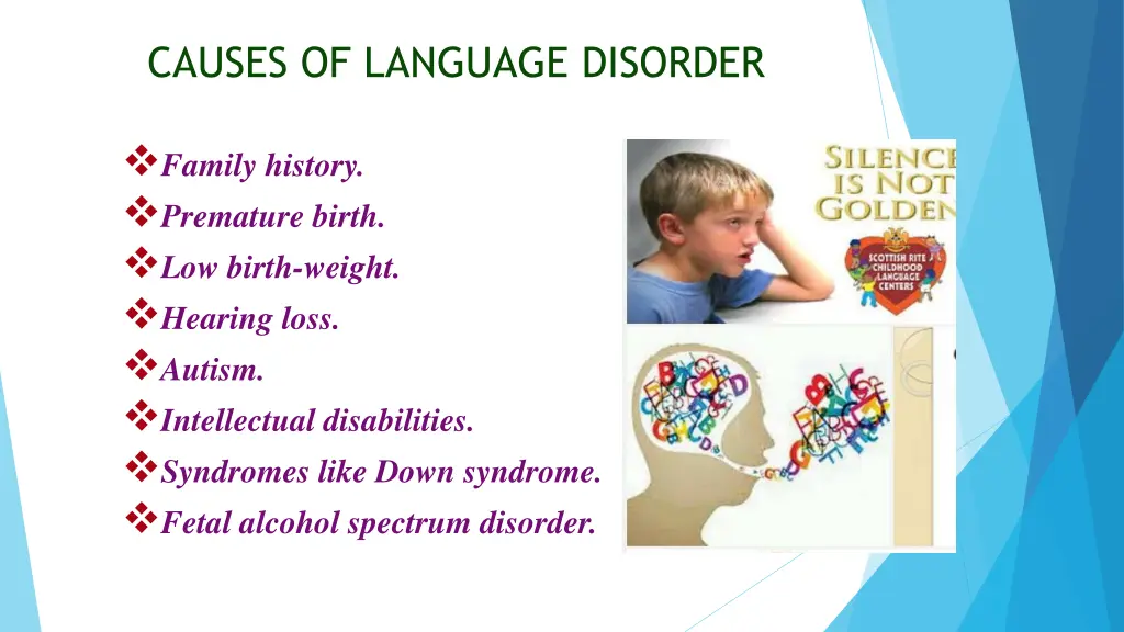 causes of language disorder