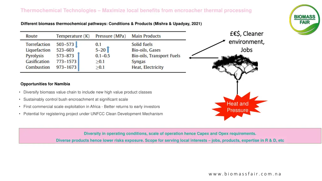 thermochemical technologies maximize local