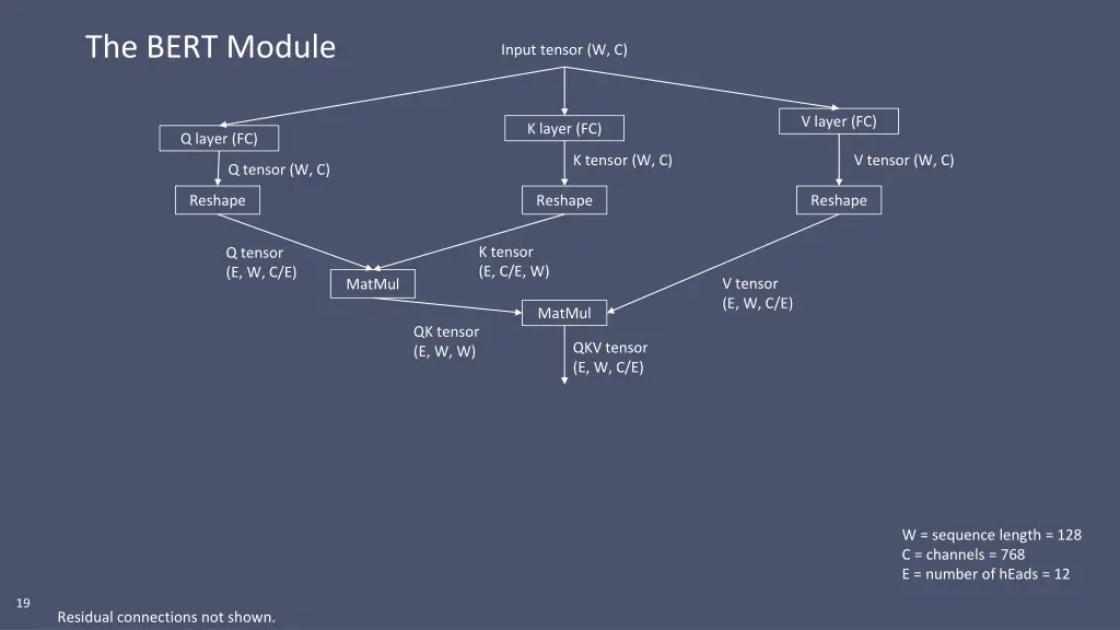 the bert module