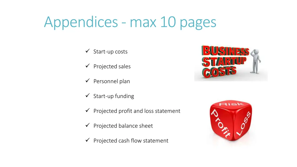 appendices max 10 pages