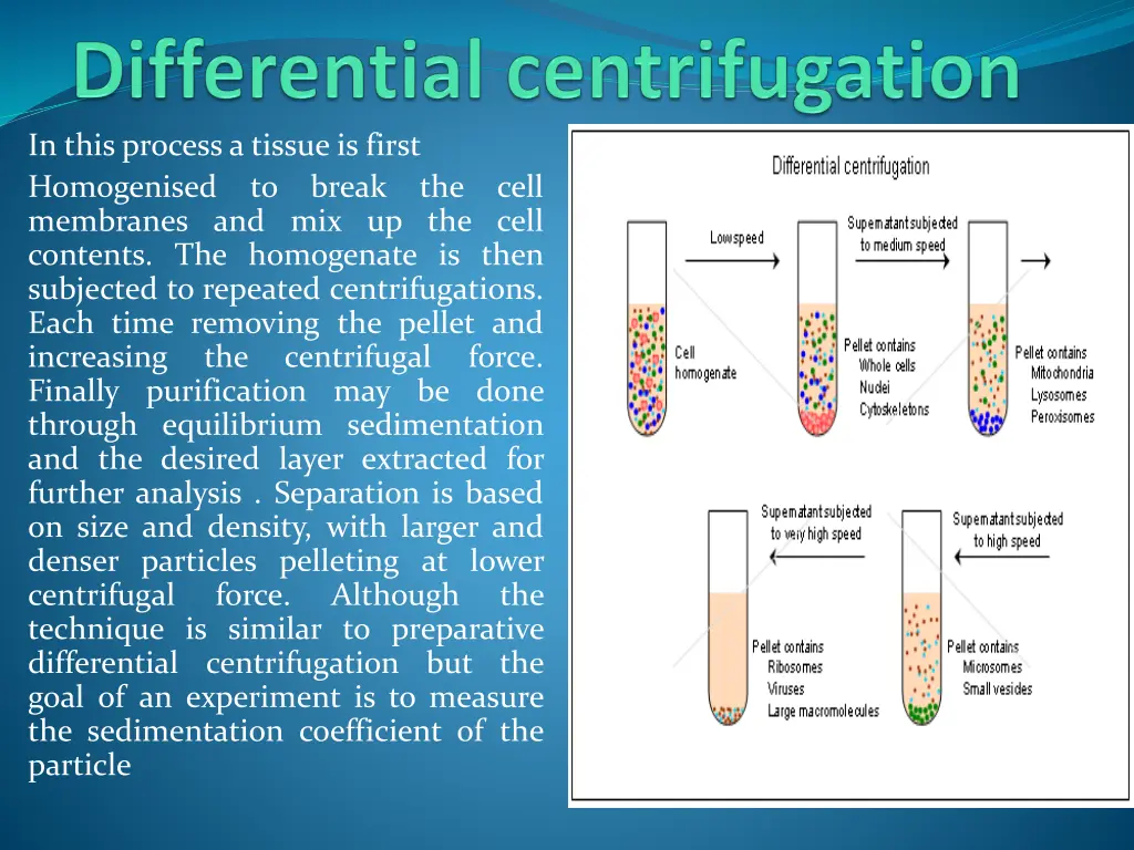 in this process a tissue is first homogenised