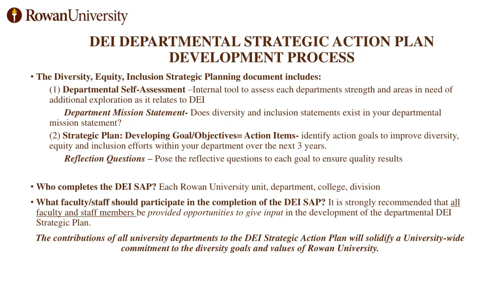 dei departmental strategic action plan