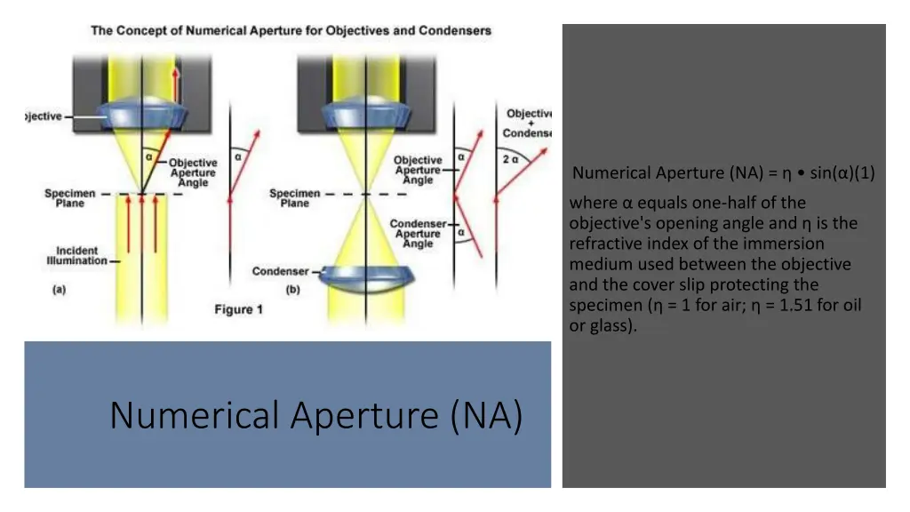 numerical aperture na sin 1