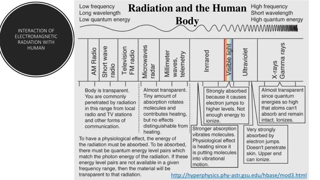 radiation and the human body