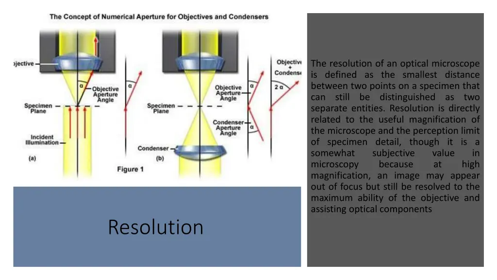 the resolution of an optical microscope