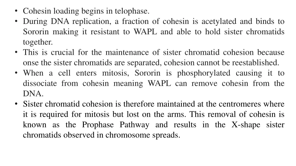 cohesin loading begins in telophase during