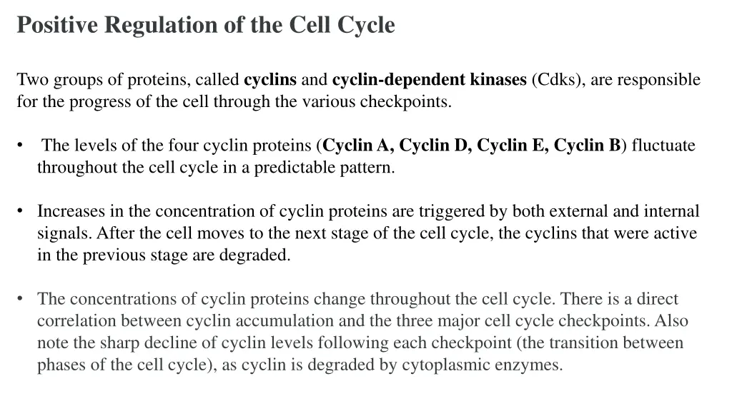 positive regulation of the cell cycle