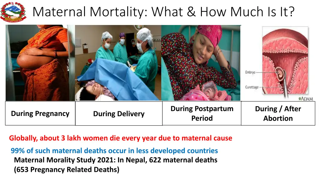 maternal mortality what how much is it