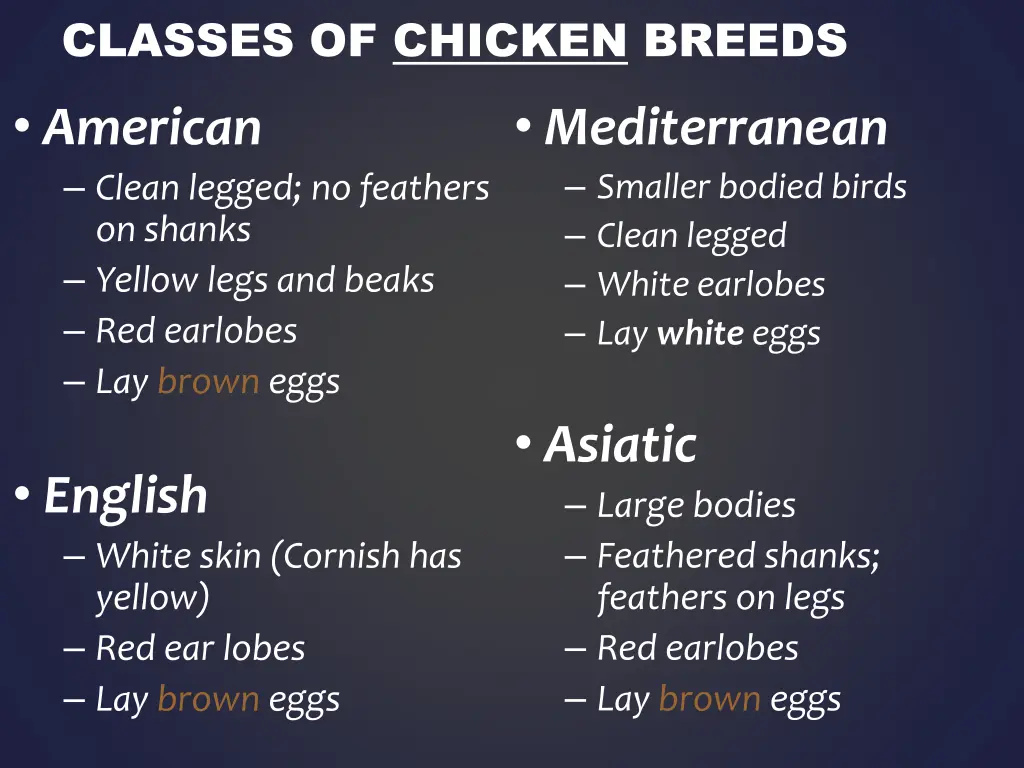 classes of chicken breeds