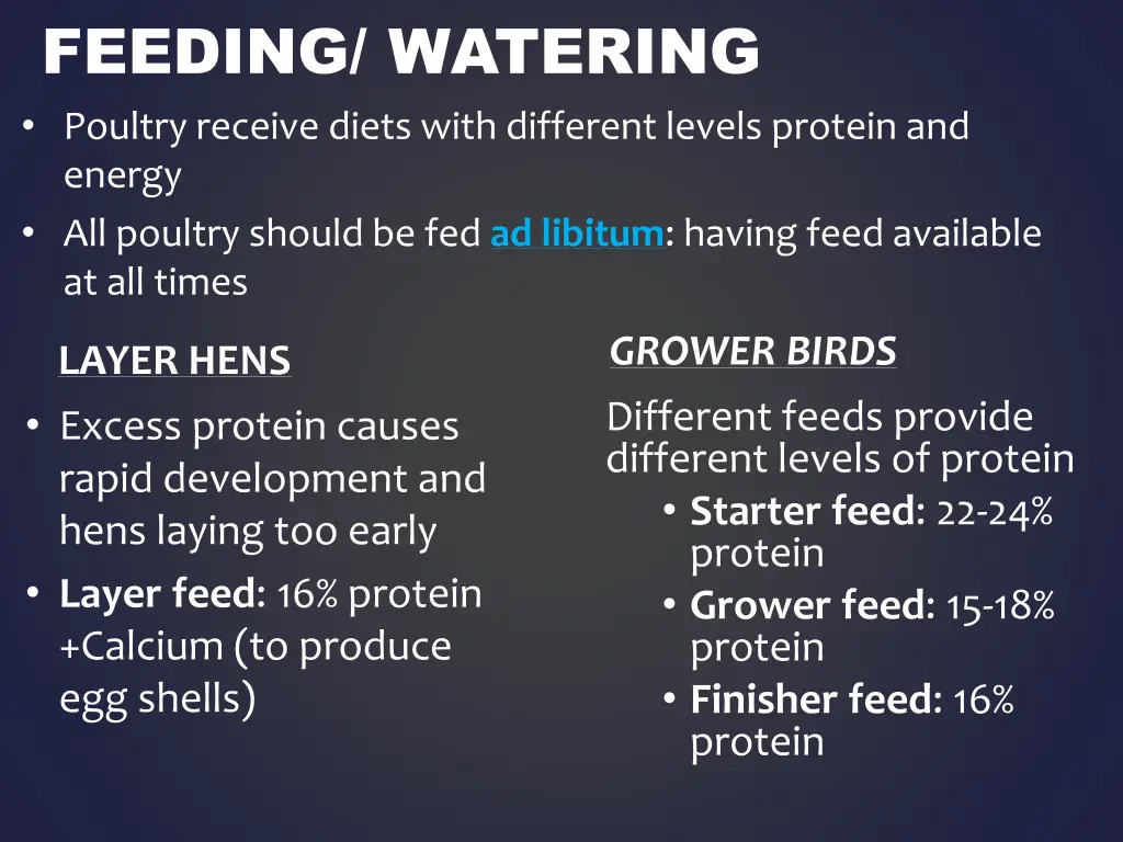 feeding watering poultry receive diets with